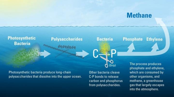 Scientists may have solved the marine methane paradox
