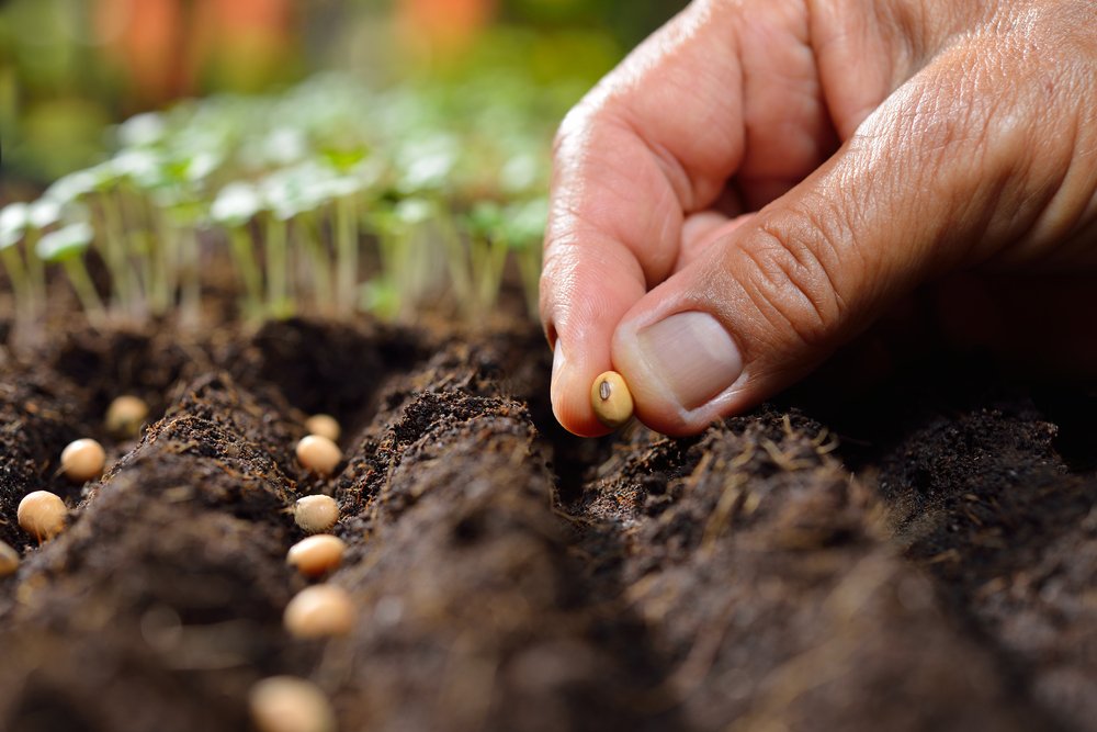 Soil science helps boost agricultural success