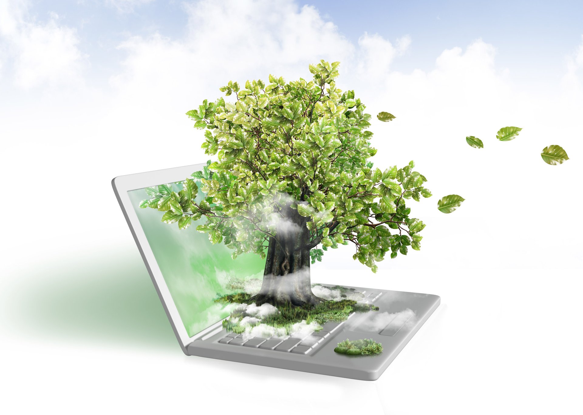 California enacts energy efficiency rules for computers