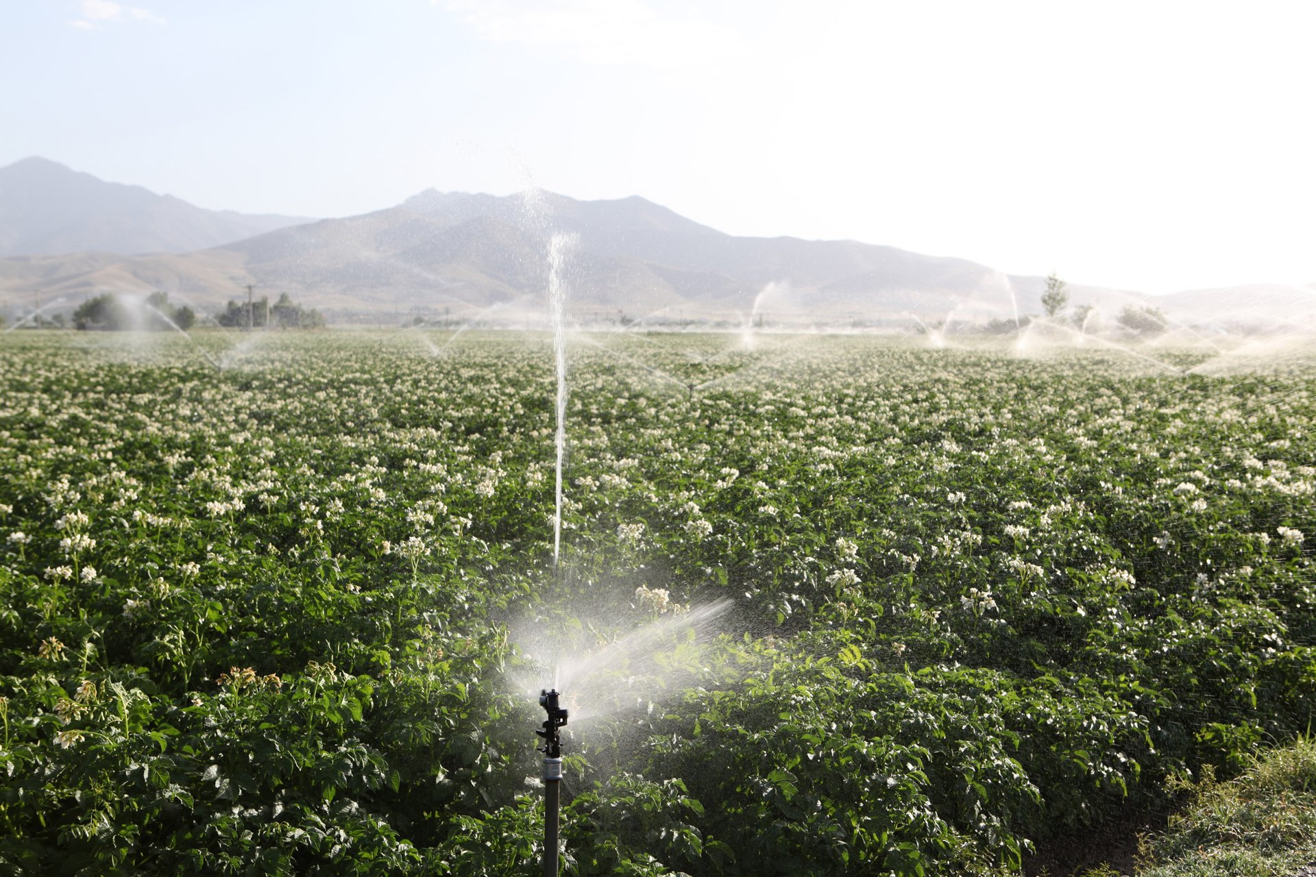 California's water systems enter new era of environmental regulation