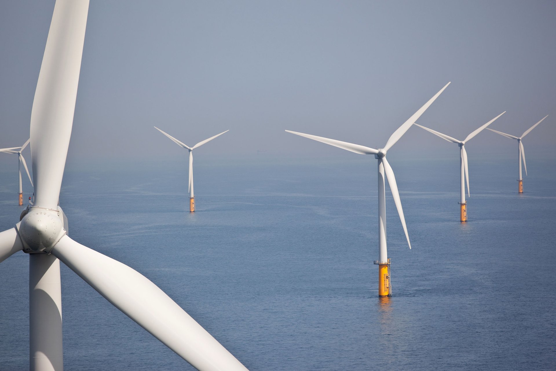 Offshore wind farms pose a risk to birds of prey