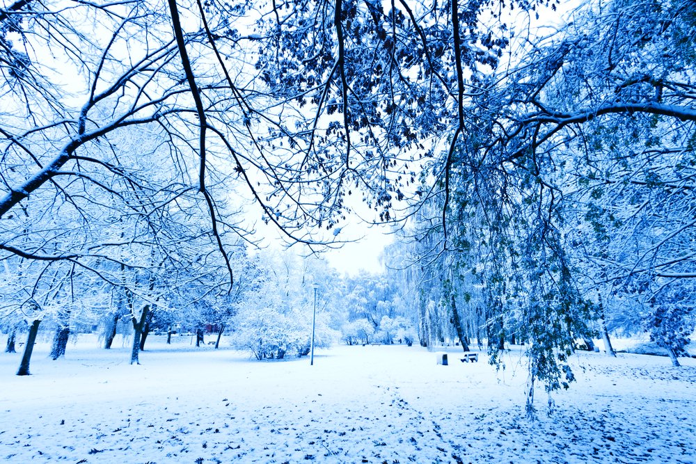 UK to be hit with severe arctic blast this week