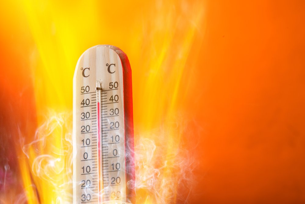 2016 rising temperatures: Data shows it was hottest year yet