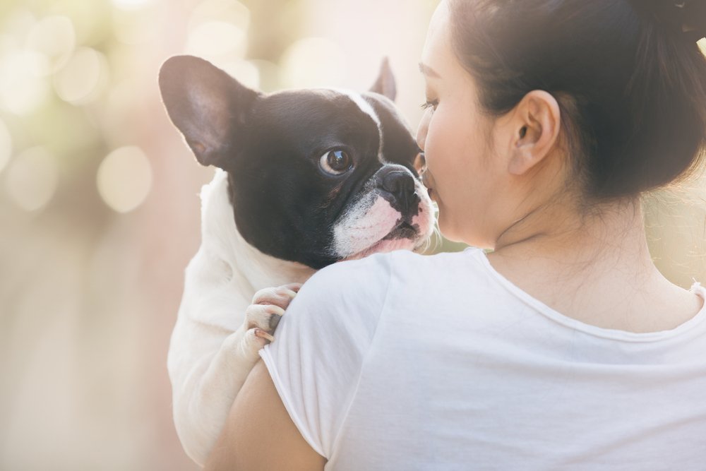 Dogs' emotions may mirror our own