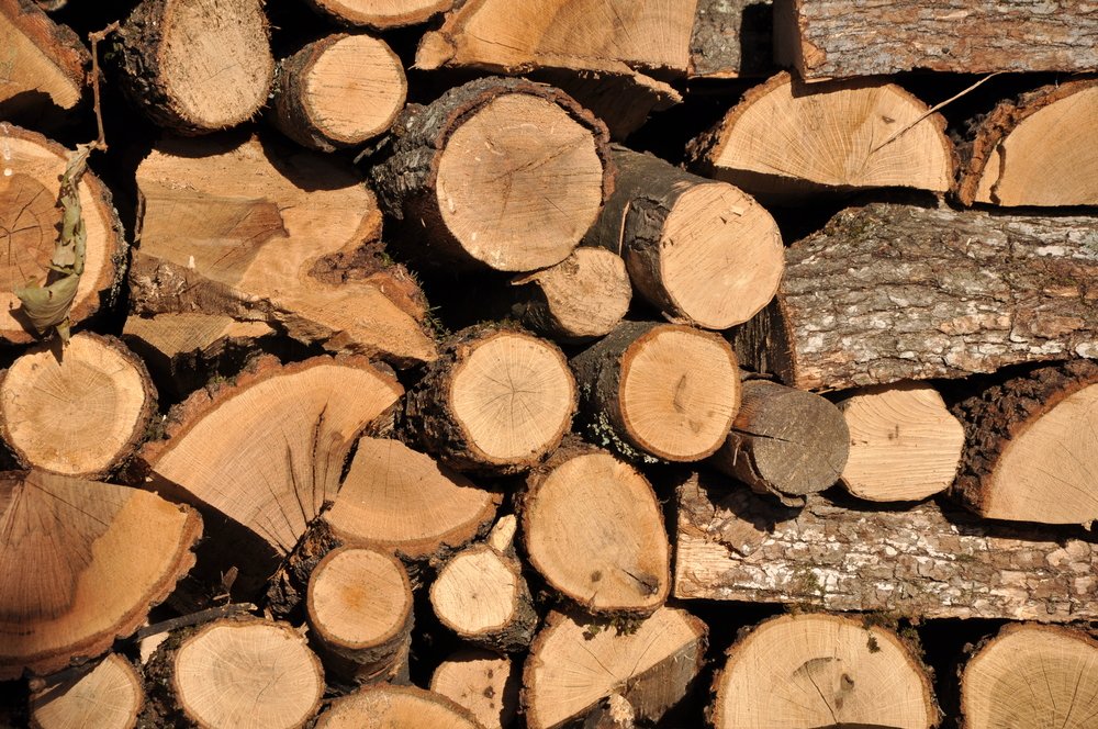 Woody biomass is carbon neutral? Probably not says researcher