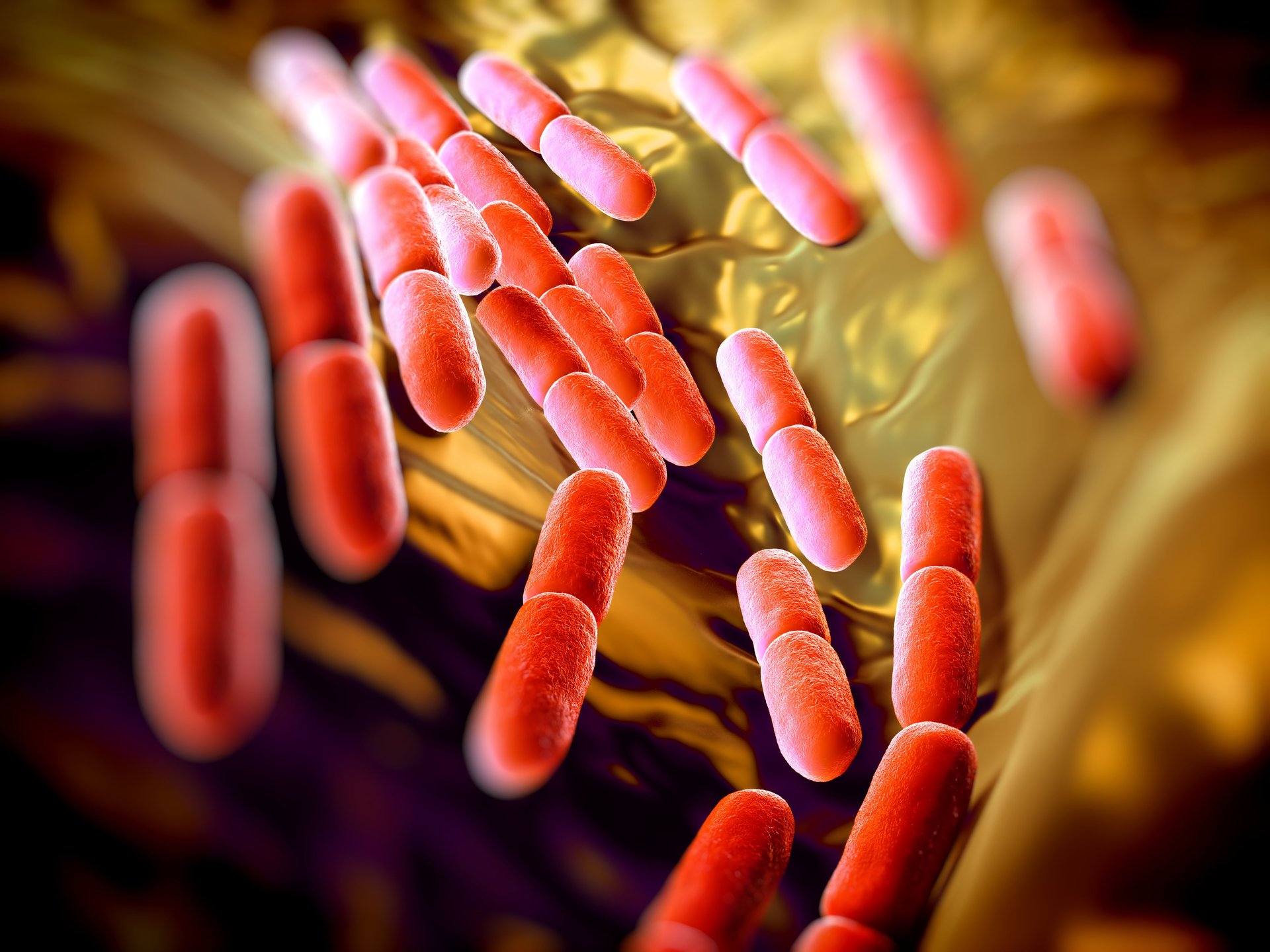 Deadly germs make hospital rounds to patients