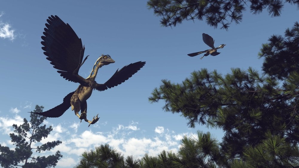 Scientists: transition from dinosaurs to birds was complex journey