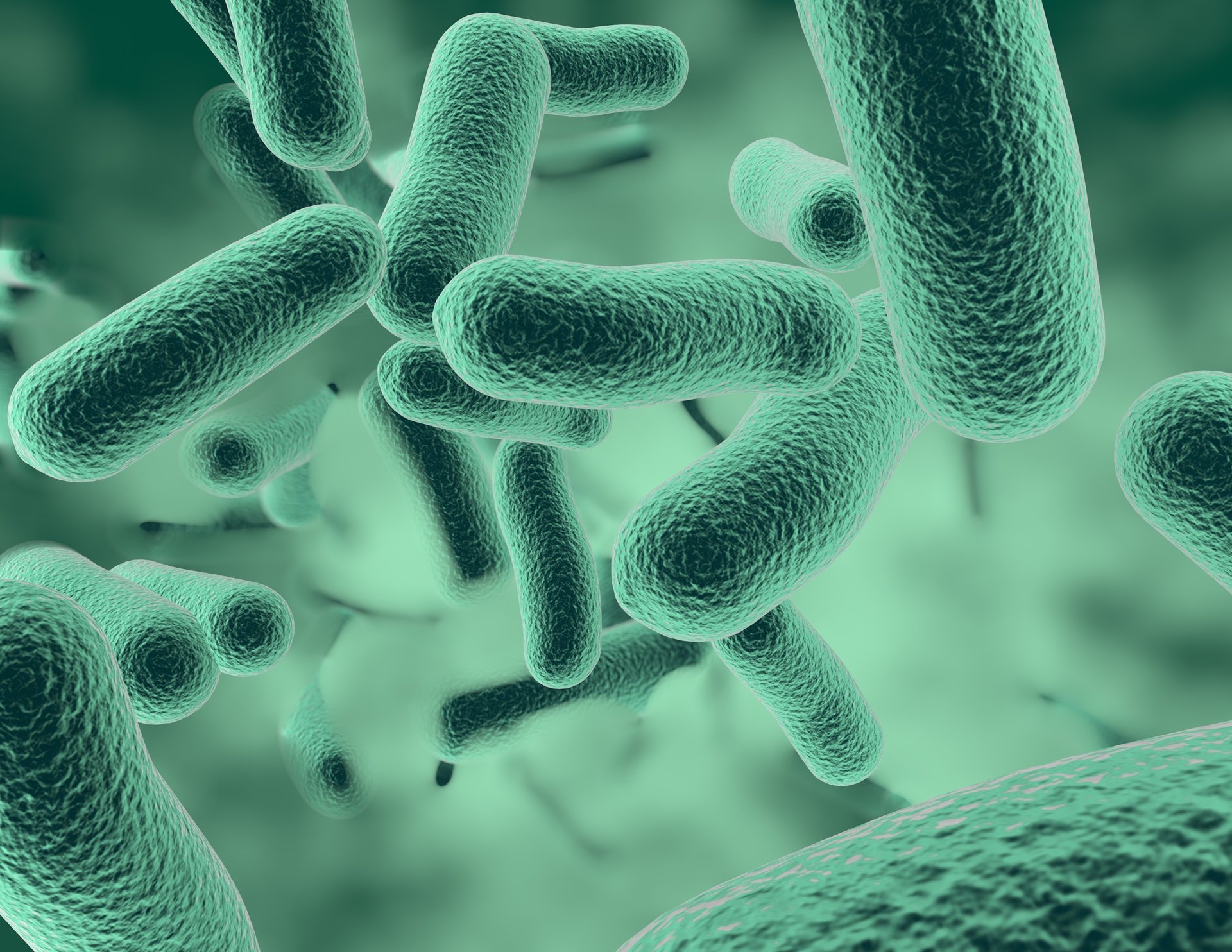 Bacteria fossils provide clues to extraterrestrial life