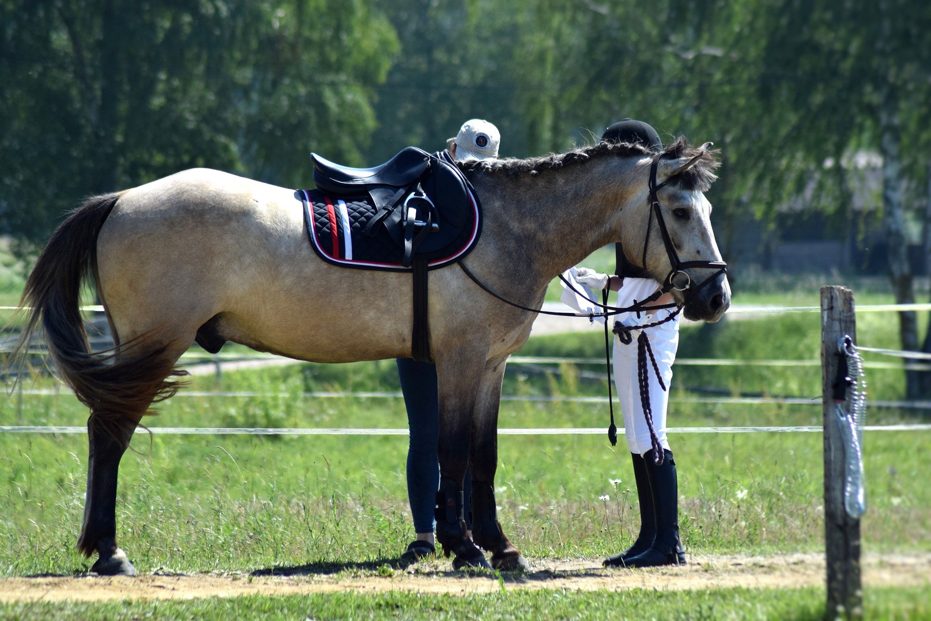 Study suggests horseback riding could make your kids smarter
