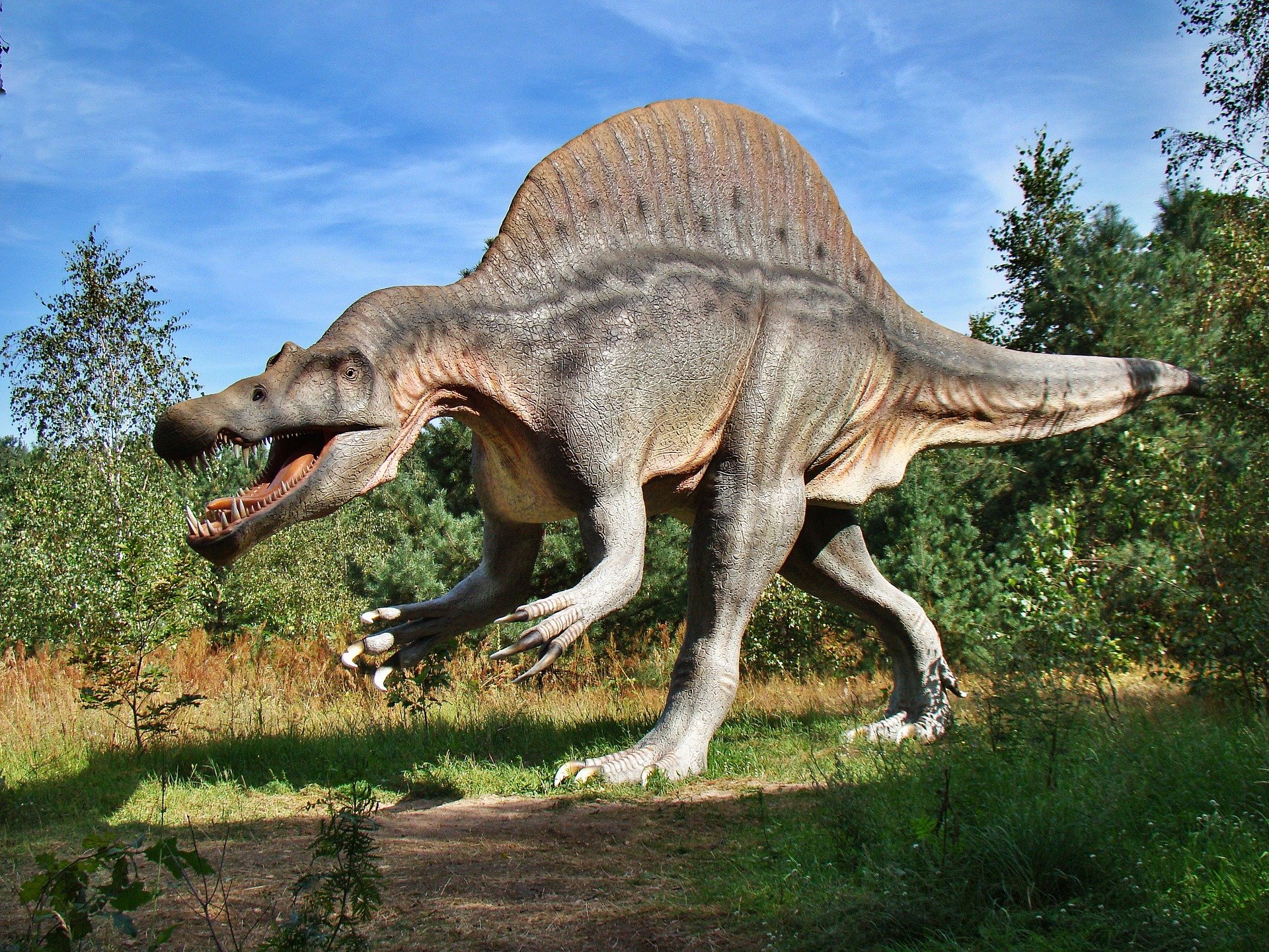 Dinosaurs evolved to walk on two legs for running, not fighting