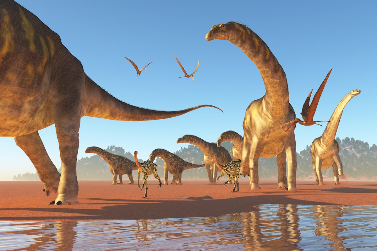 Fossilized poop discovery provides important clues to dino diet