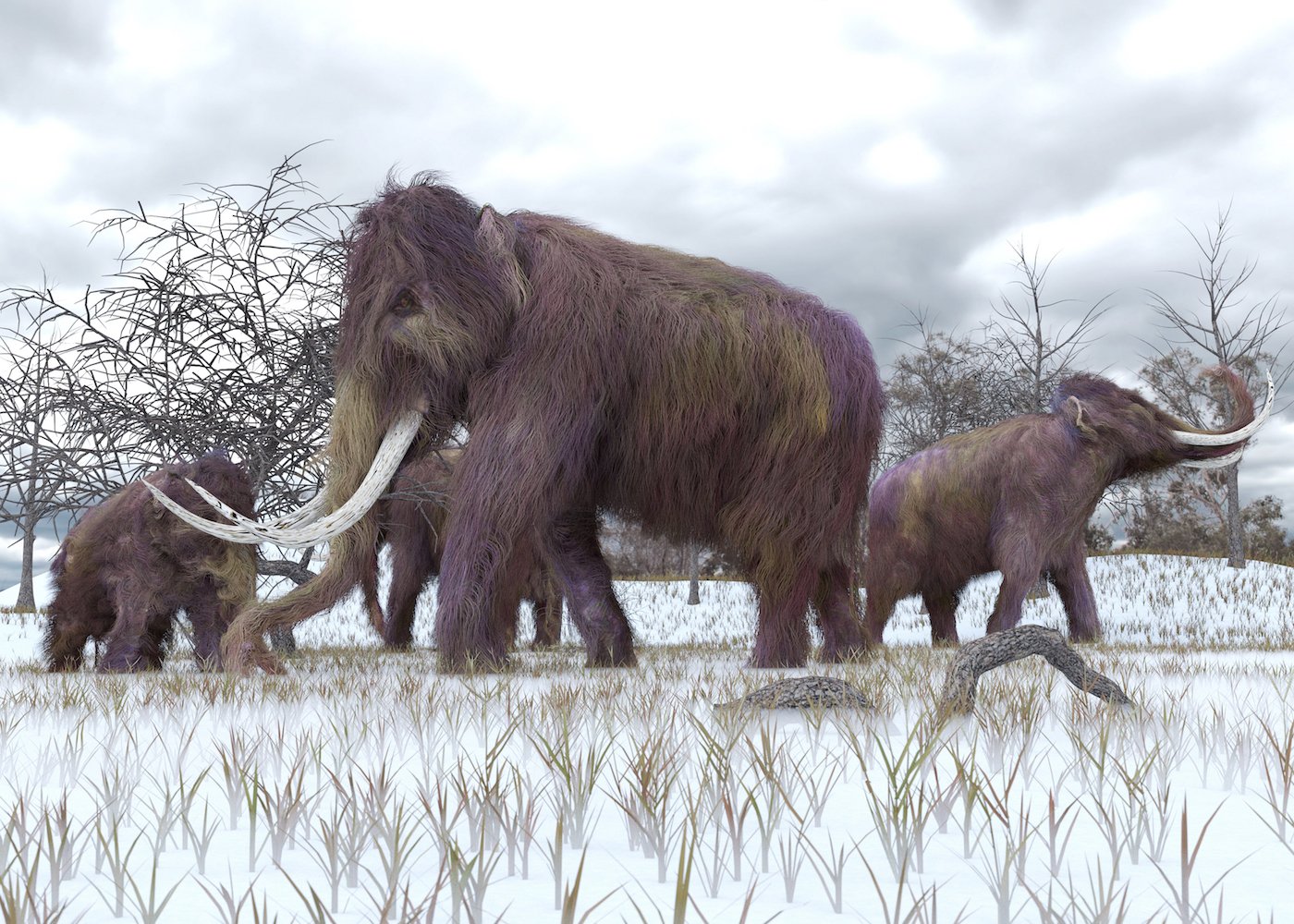New plan to fight climate change by restoring Ice Age Siberia