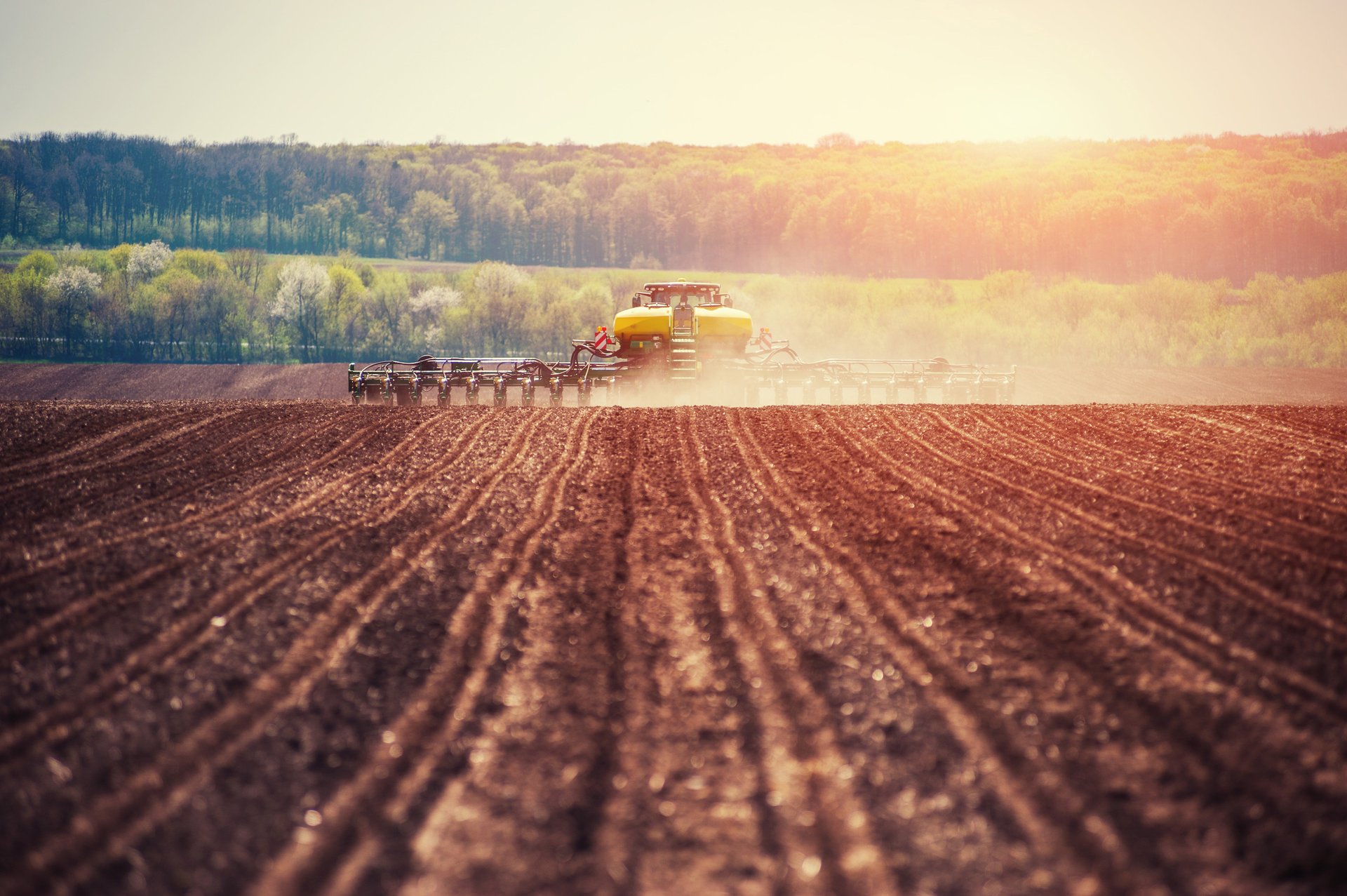 Soil releases CO2 faster at deeper depths as climate warms
