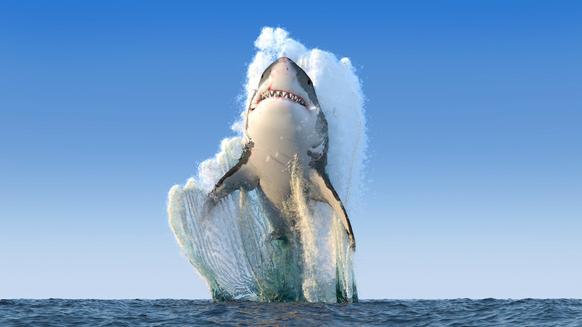 Sharks swimming toward Cape Cod in rising numbers