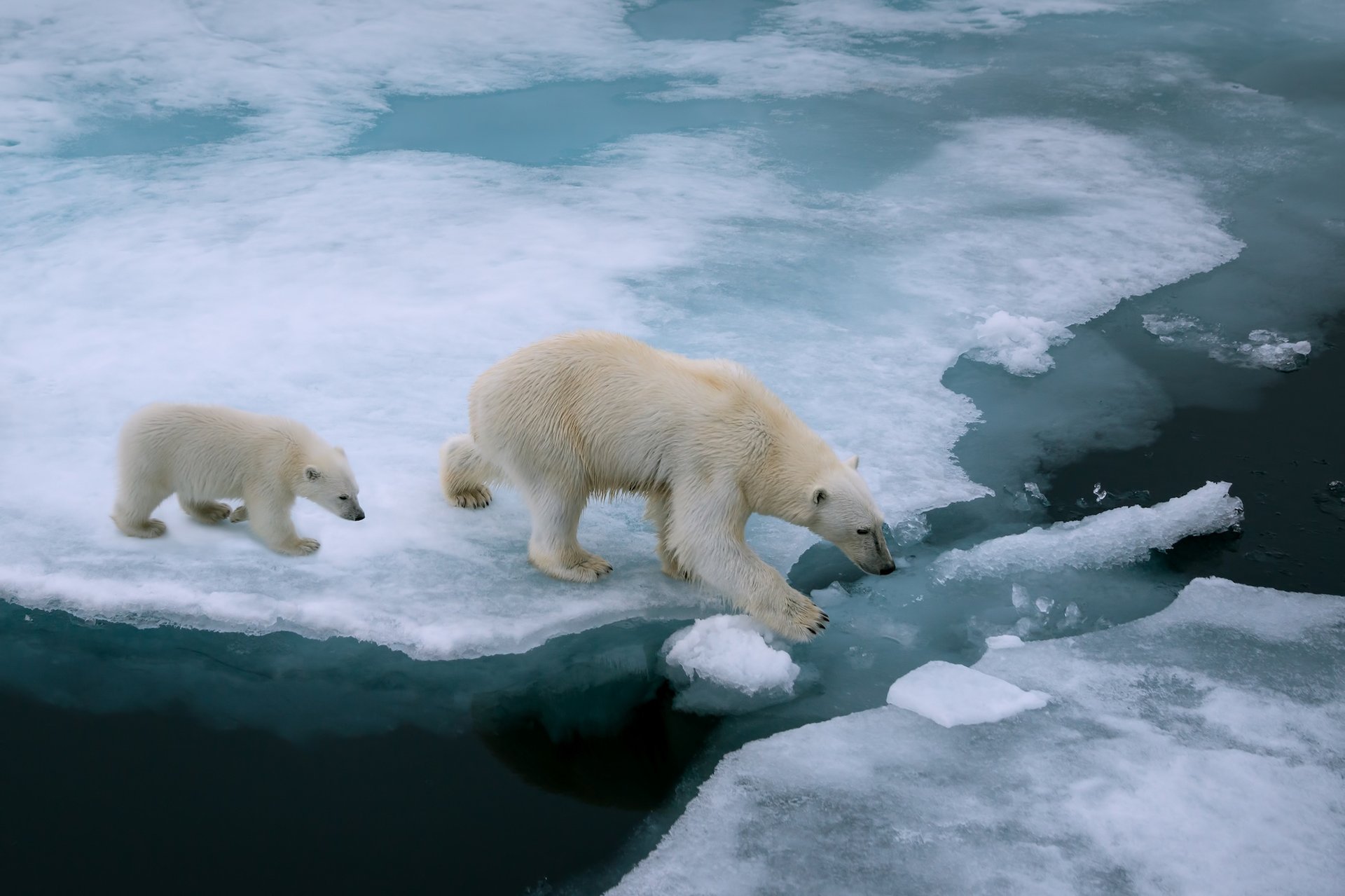 Climate change denier Inhofe filling top EPA spots