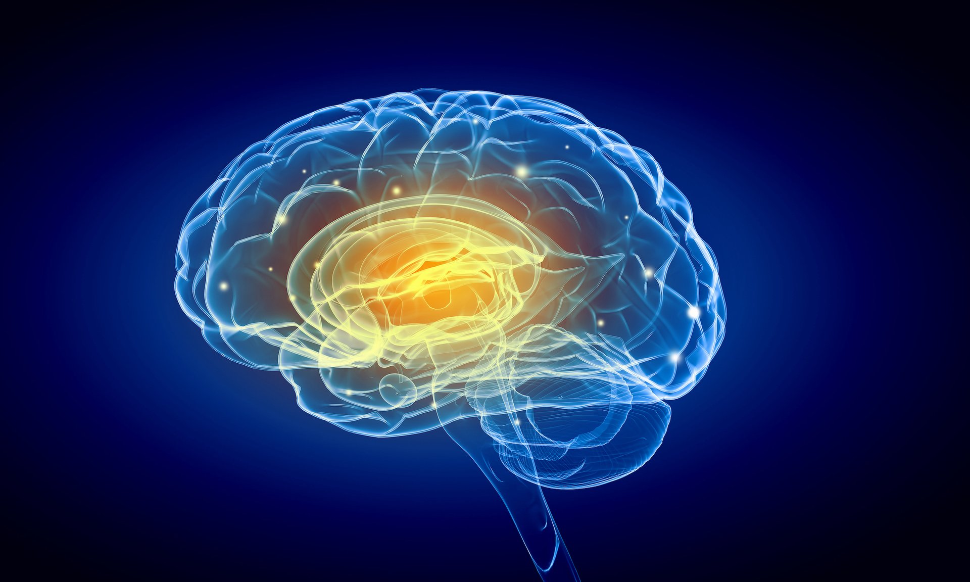 The brain adapts to heighten remaining senses in blind people