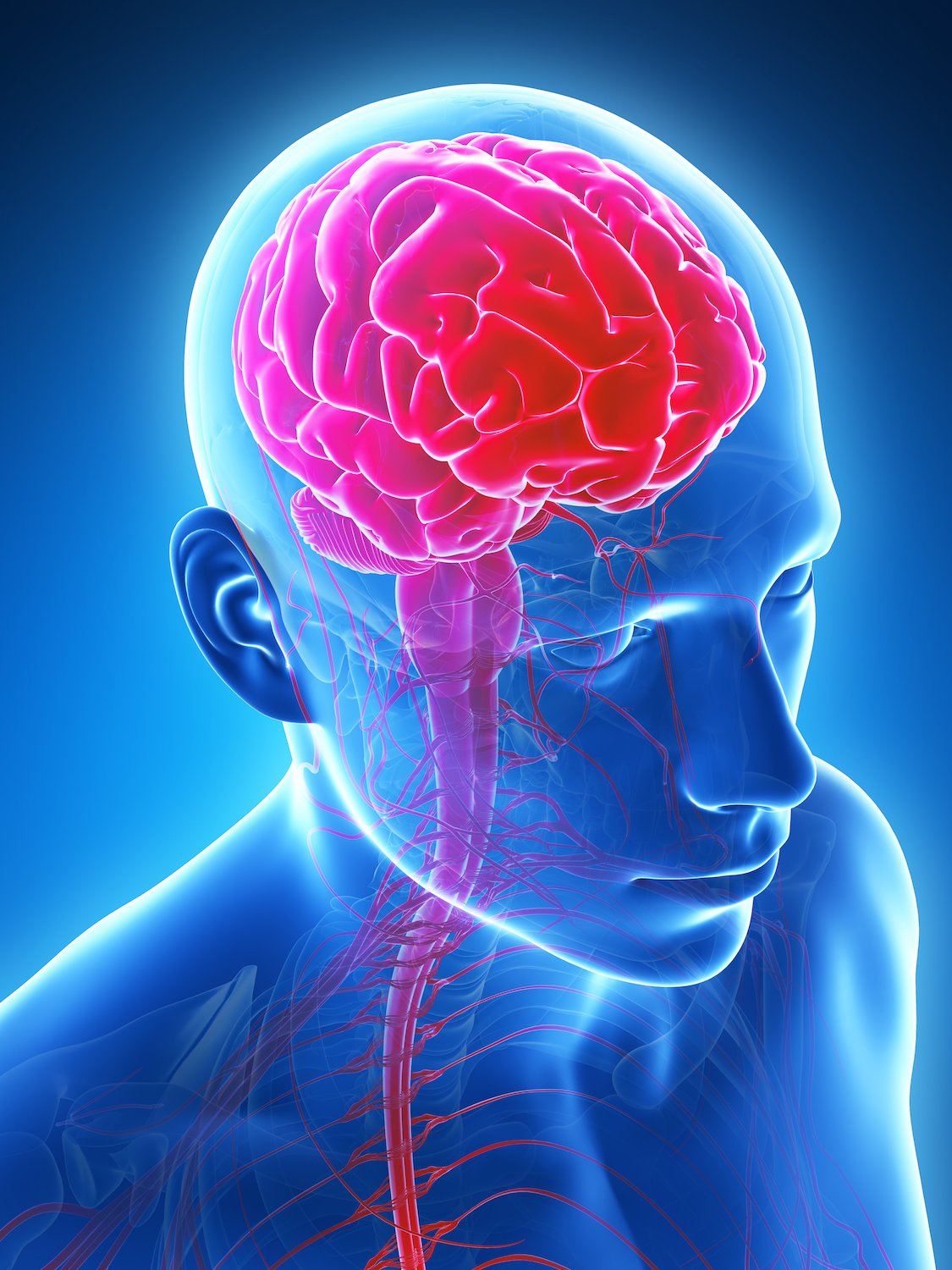 Brain's fear center stimulates more pleasure than scares