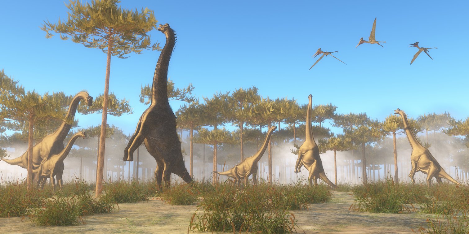 Have scientists been up the wrong dinosaur tree since 1888?