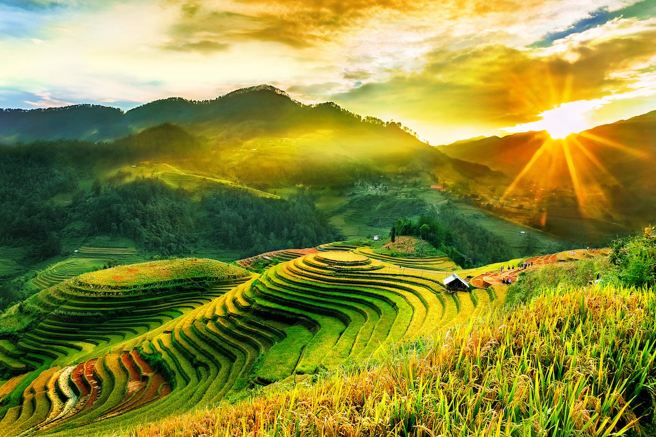 Study shows mountain formation spurs biodiversity
