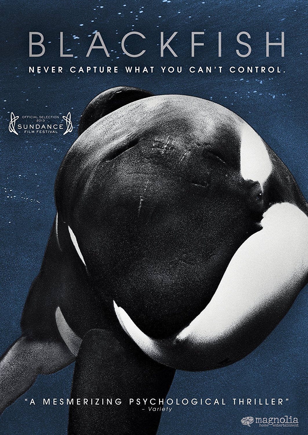 Earth.com Film Review, Blackfish (2013)