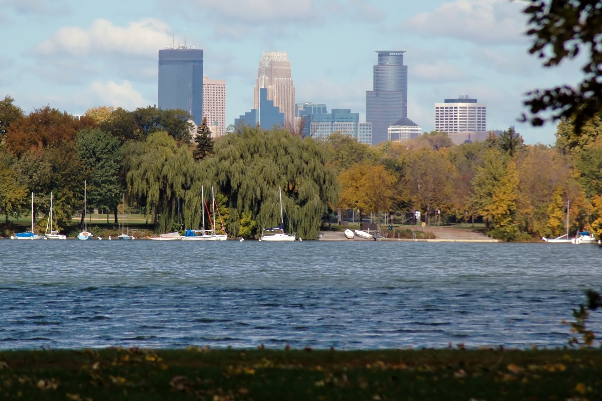 Road salt runoff killing Twin City lakes
