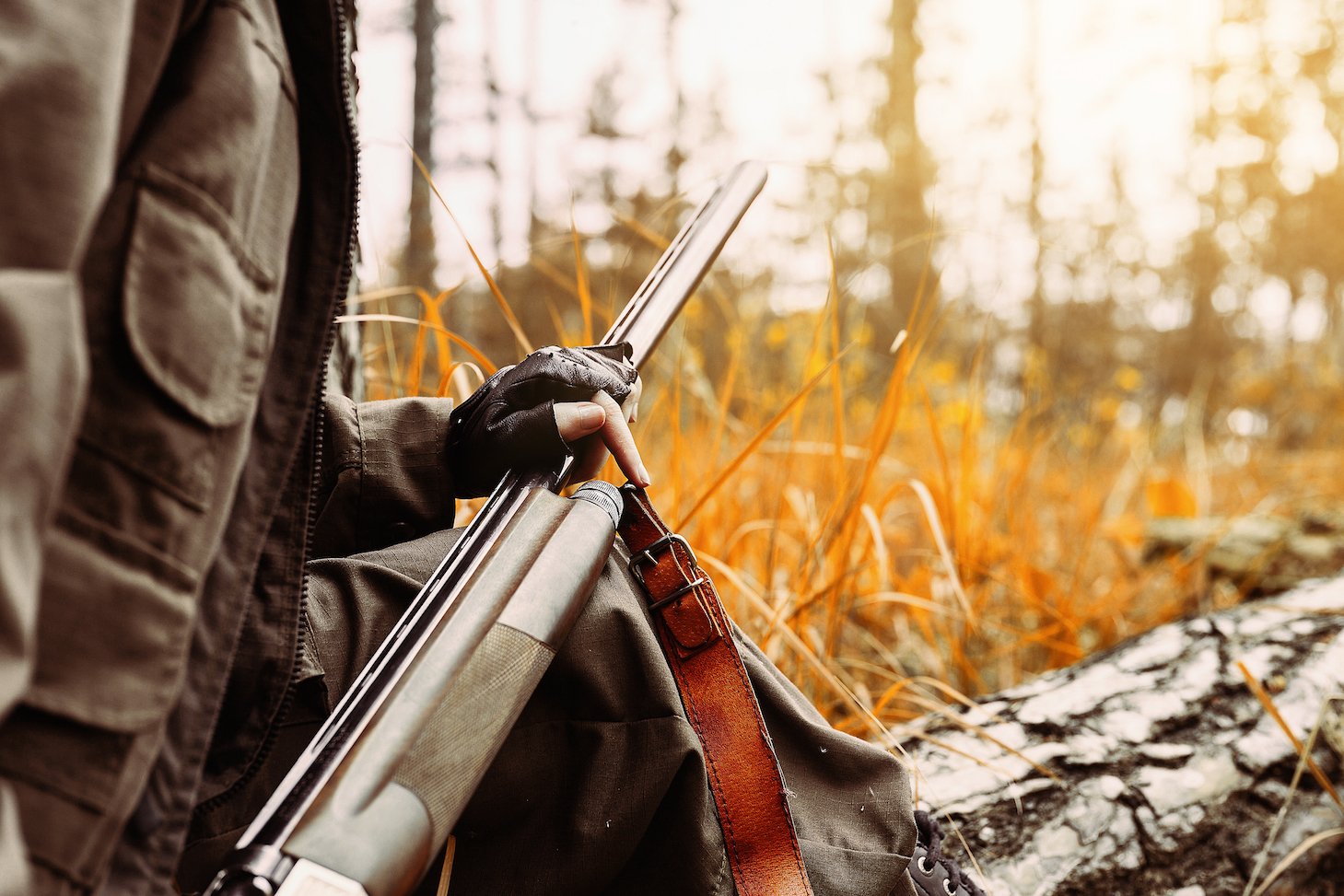 Hunting significantly reduces bird and mammal populations