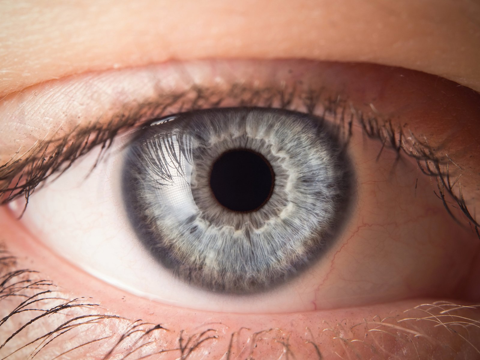 New study shows why eyes really are the windows into the soul