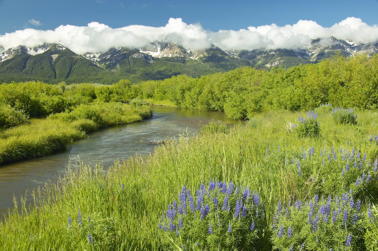 Decline in Western U.S. snow runoff due to human influences