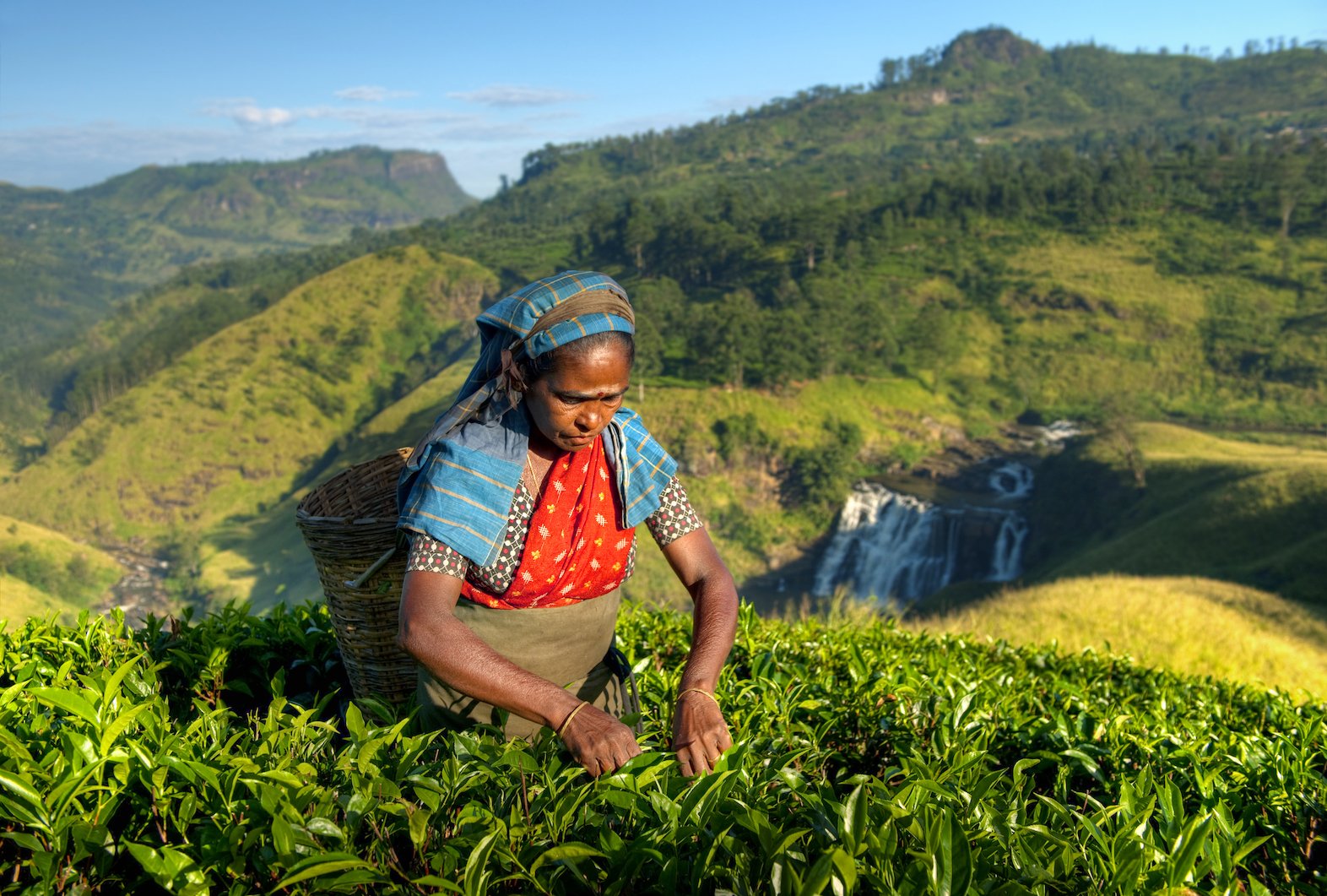 Urgent action taken to secure land rights of Indigenous peoples
