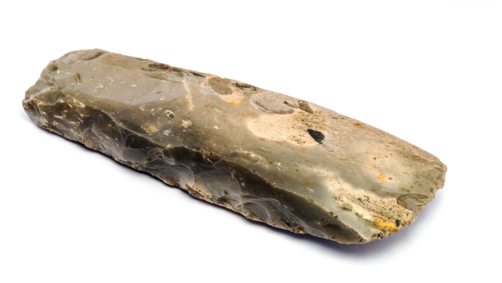 South African artifacts may be among the earliest hunting tools