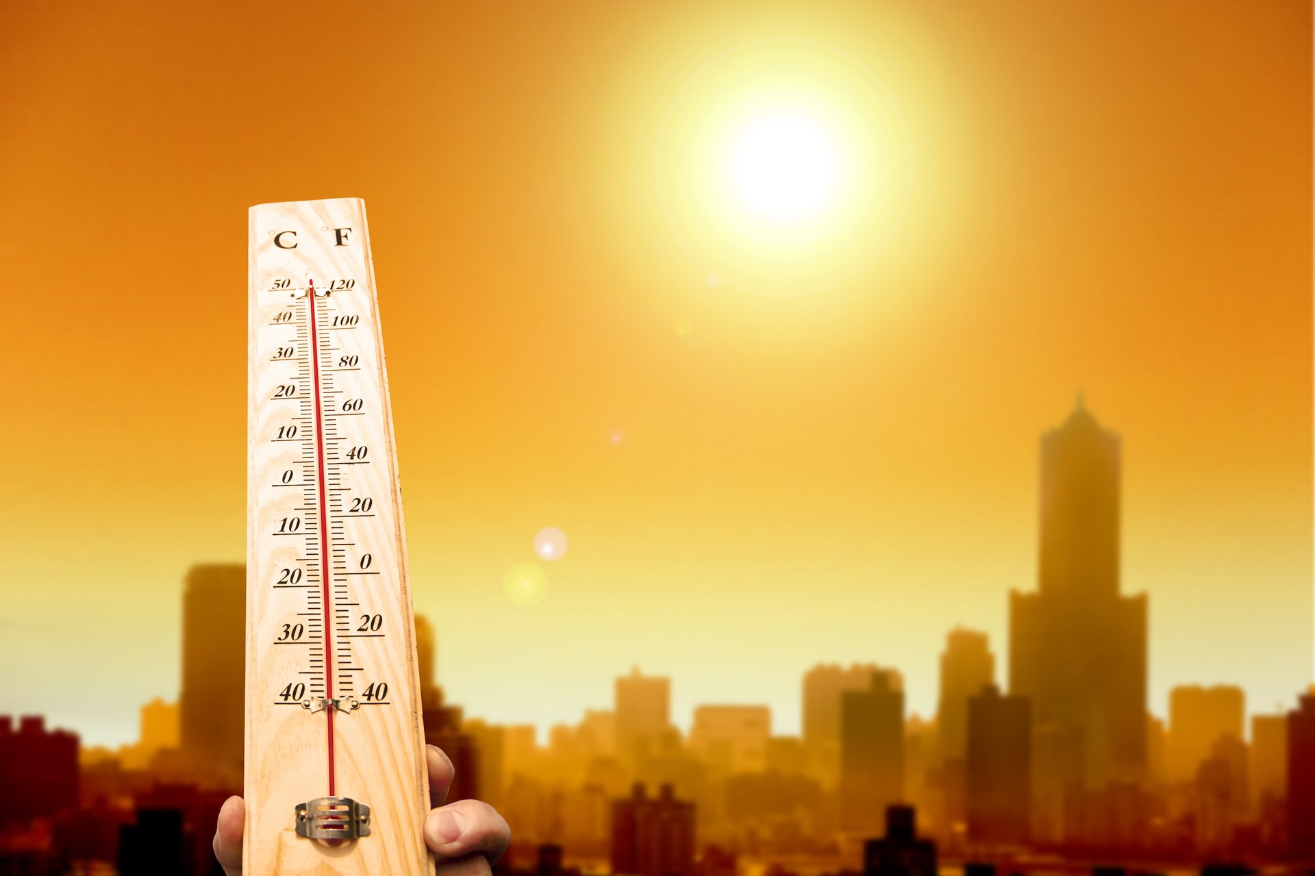 Could global warming actually help fight American obesity?