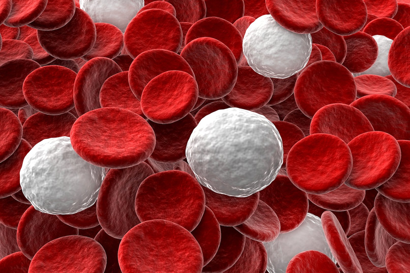 Scientists discover four new types of blood cells