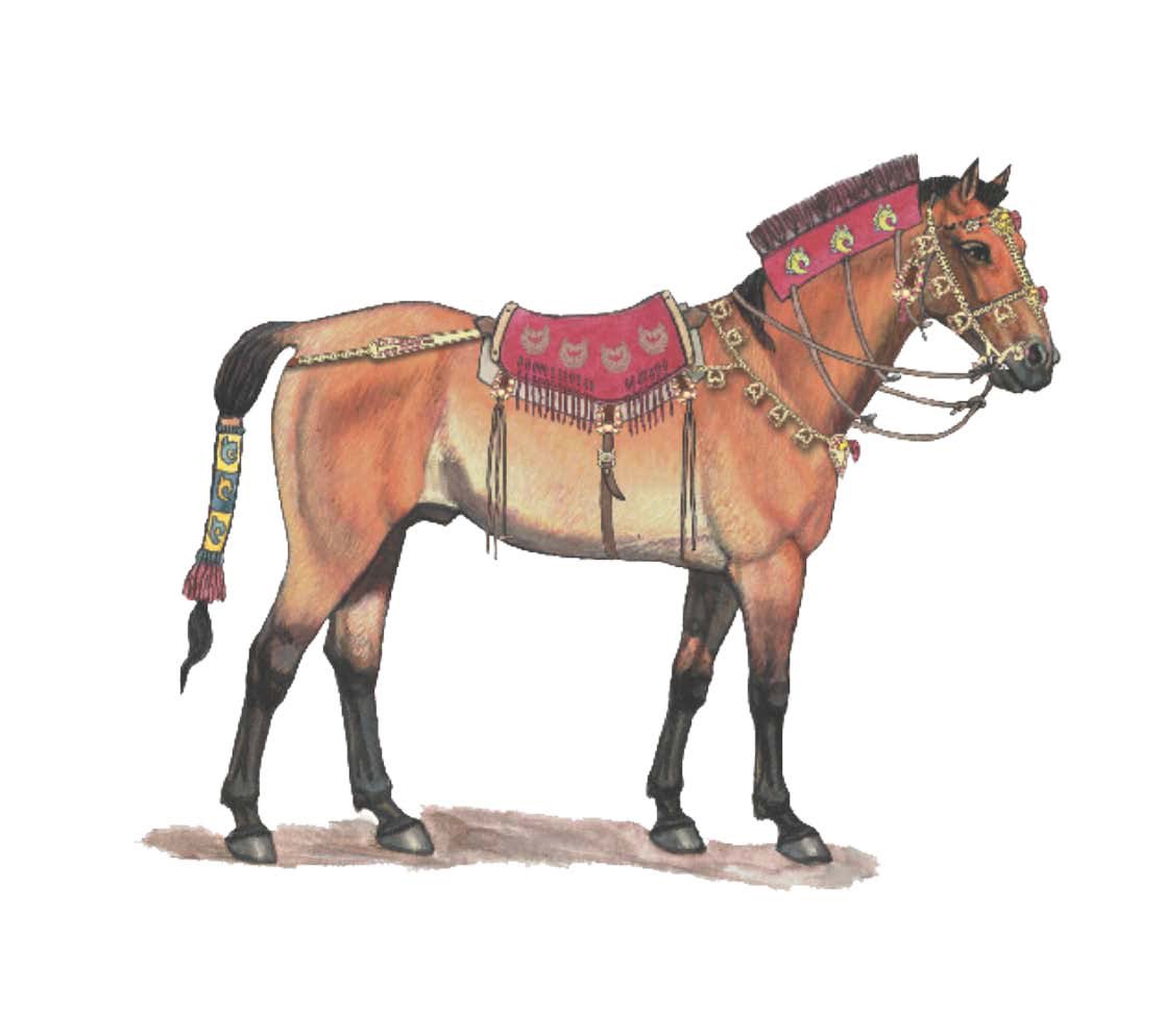 Domesticating wild horses significantly changed their genome