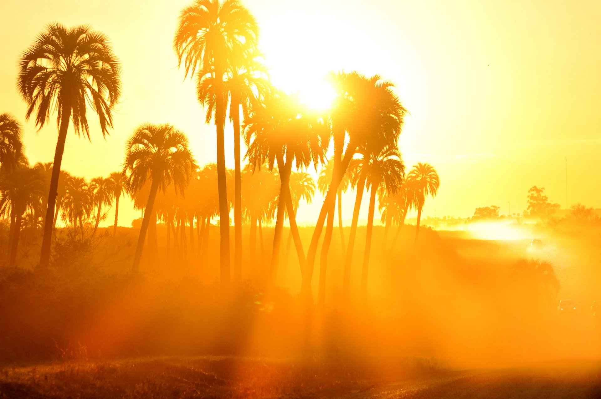 Environmentally friendly ways to stay cool this summer