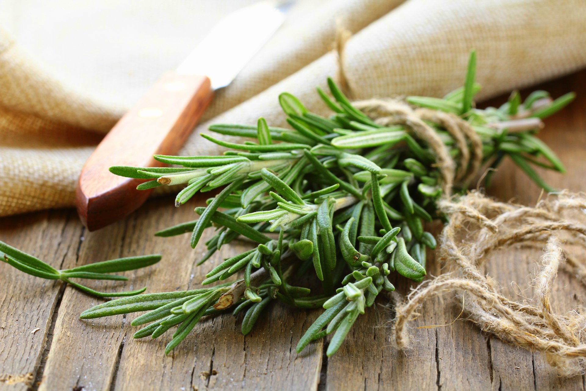The scent of rosemary sharpens memory in children, study finds