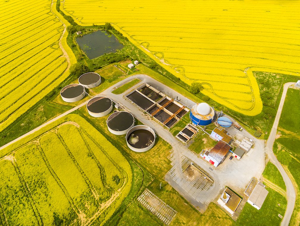 New study could help biofuel compete with oil