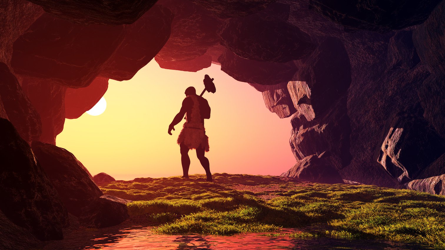Stone Age tools help illustrate the evolution of intelligence
