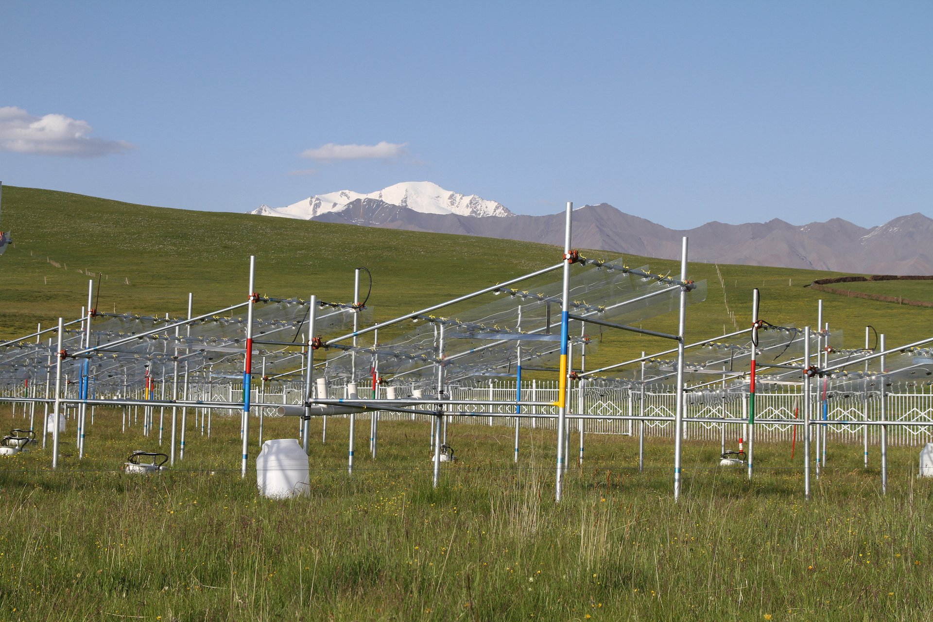 Warming climate threatens life on the Tibetan Plateau grasslands