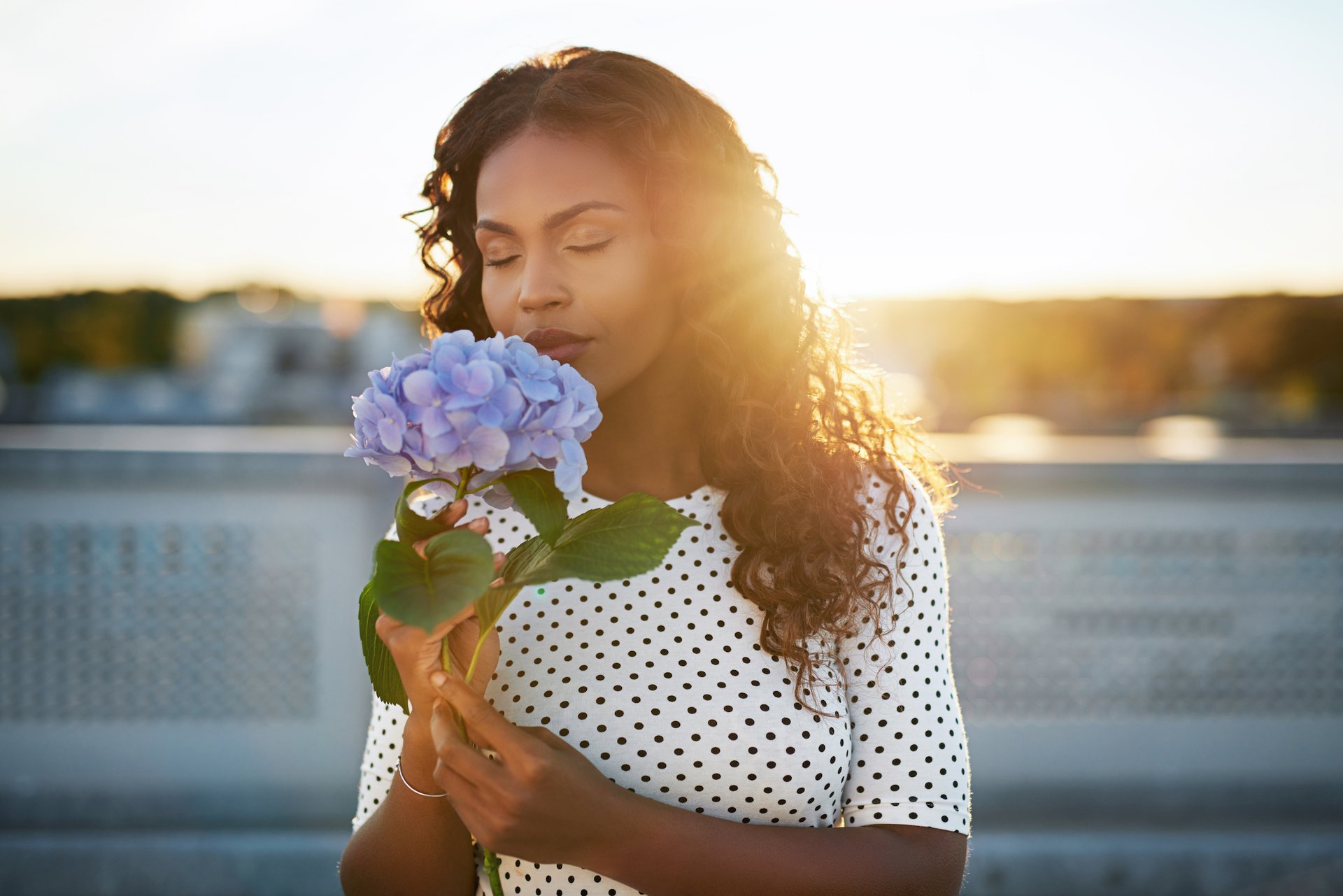 A human’s sense of smell is actually comparable to a dog’s