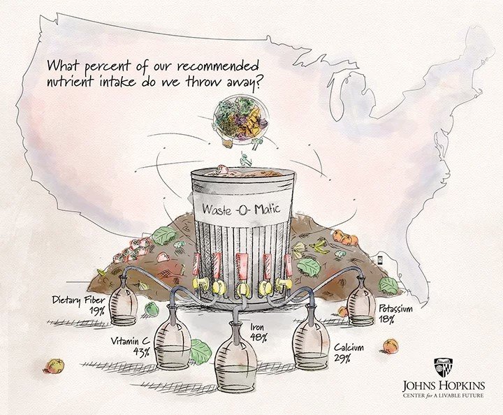 Study: Americans discard food at alarming rates