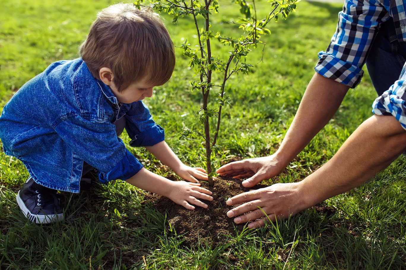 Earth.com Presents: Fun ways for families to do an Act of Green