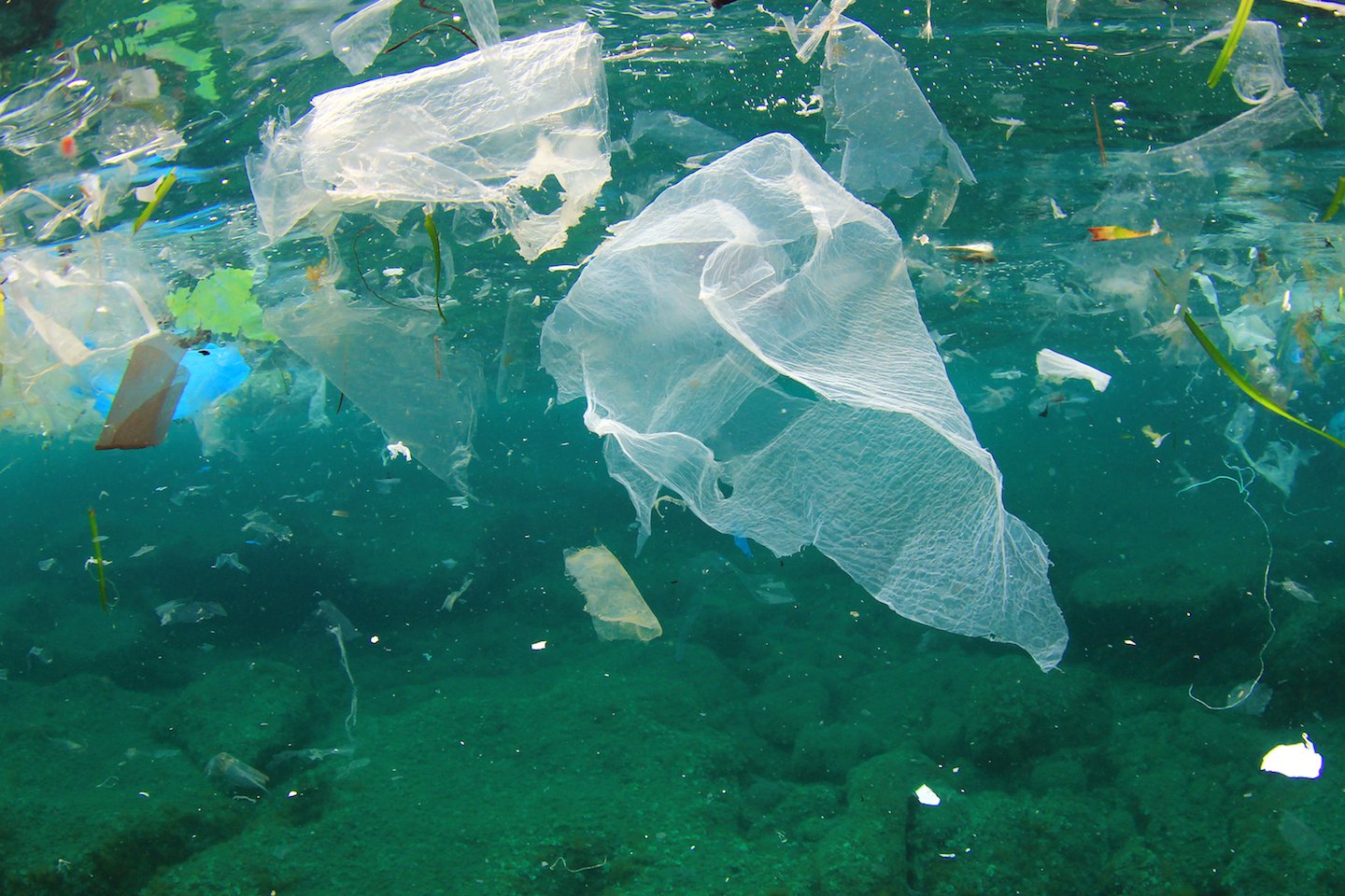 Earth.com Exclusive: The world is swimming in waste plastic