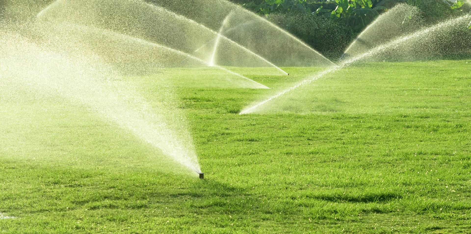 Over watering lawns lost Los Angeles 70 billion gallons of water