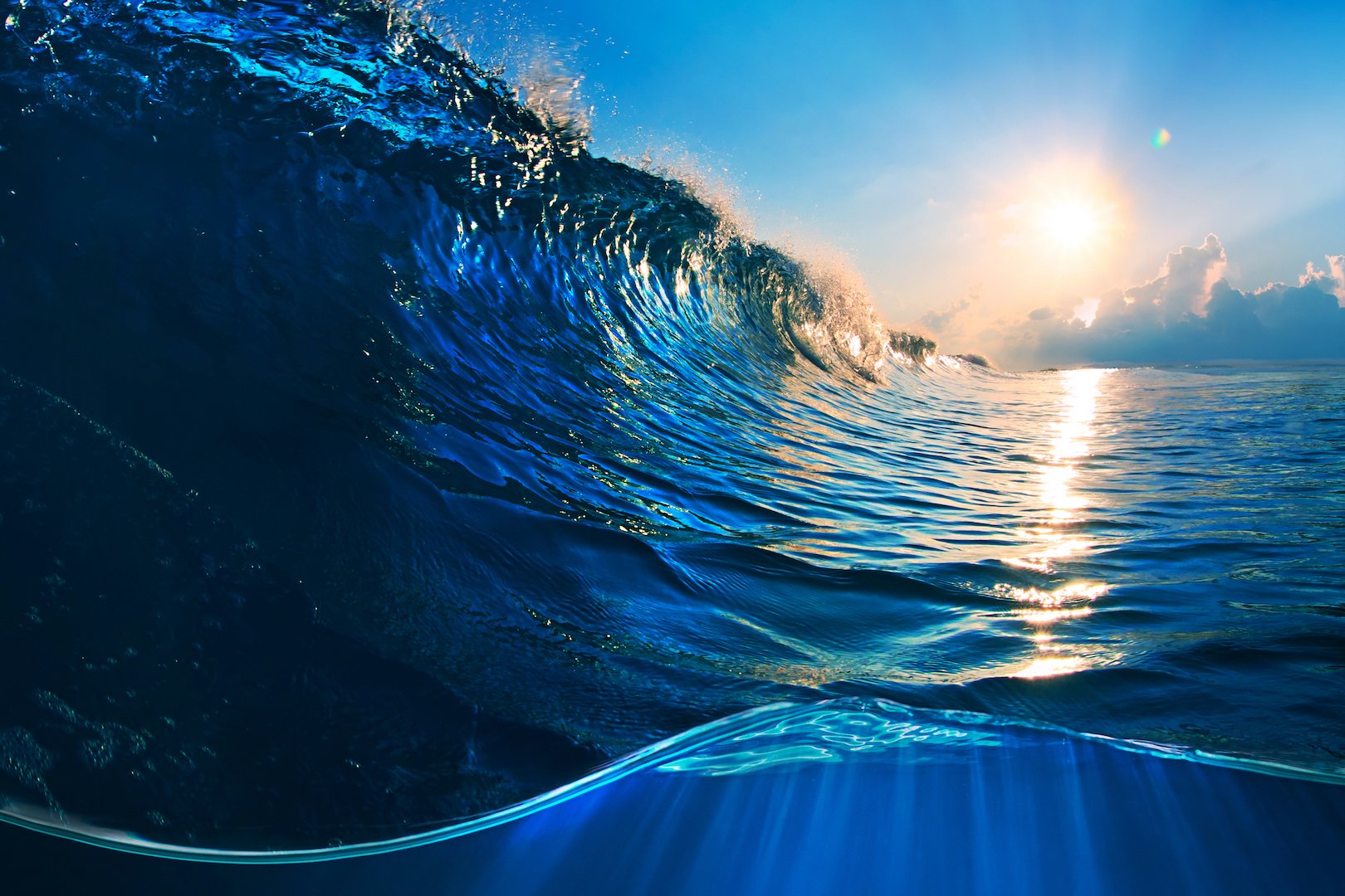 Renewing the ocean could help end poverty and world hunger