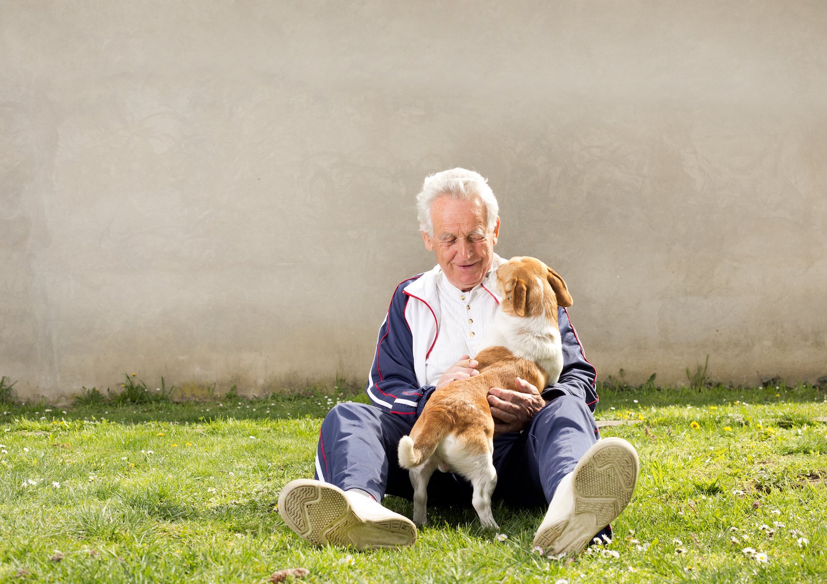 Study: Having a dog helps older people stay active