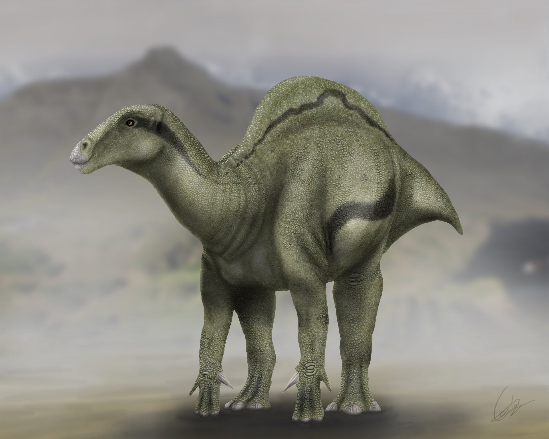 125 million year-old dinosaur fossil found in Spain