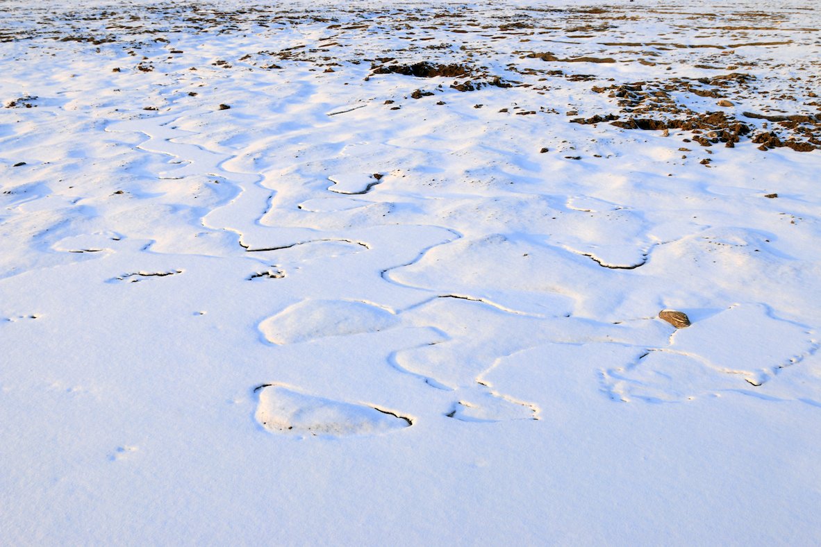 Melting permafrost can help predict rate of climate change
