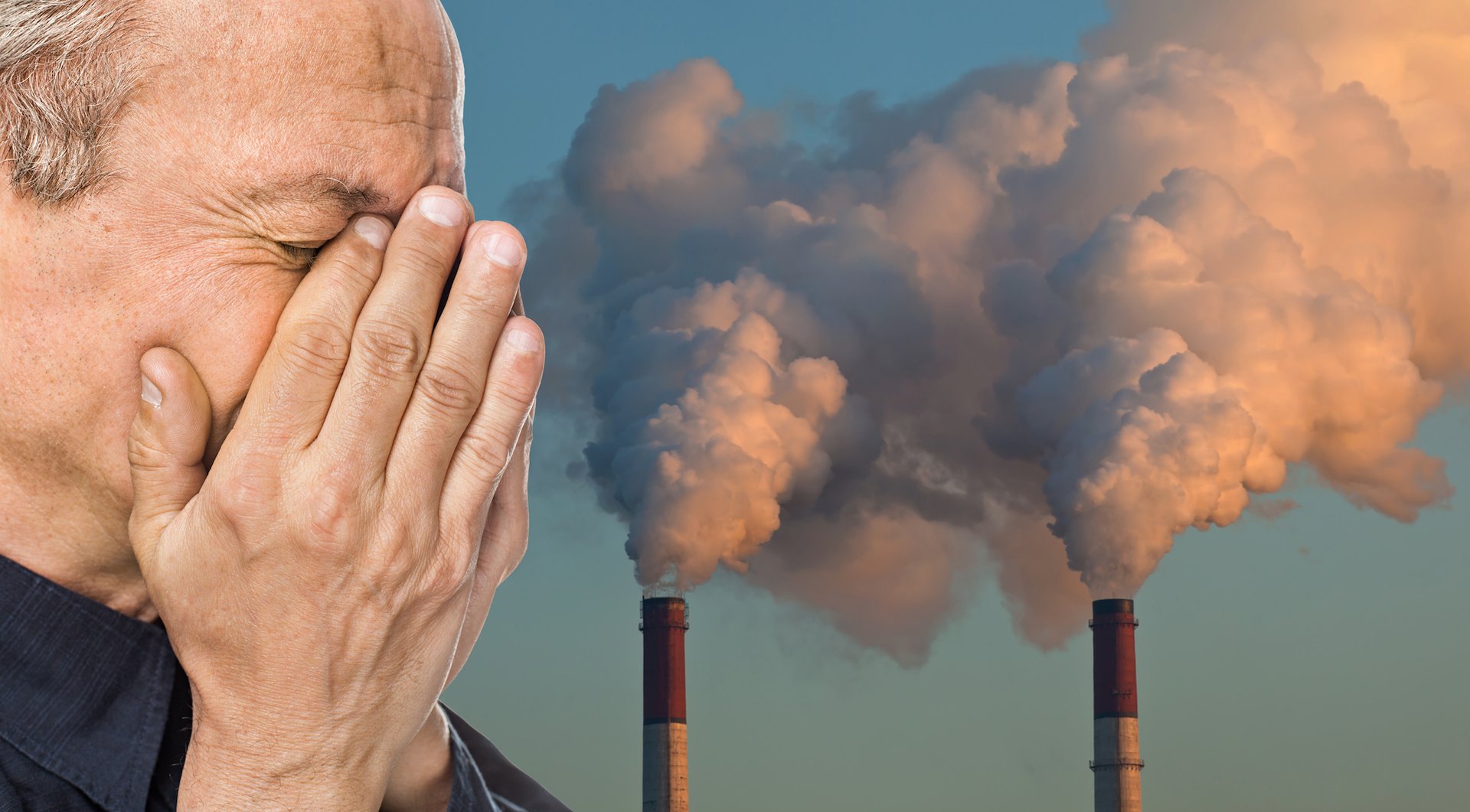 Air pollution increases premature death in the elderly