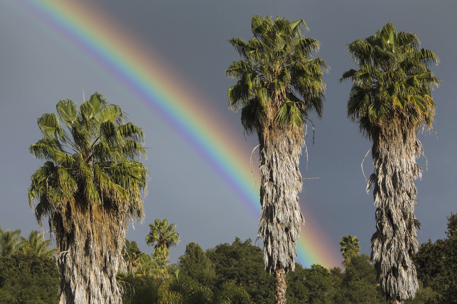 Why California will become wetter over the course of this century