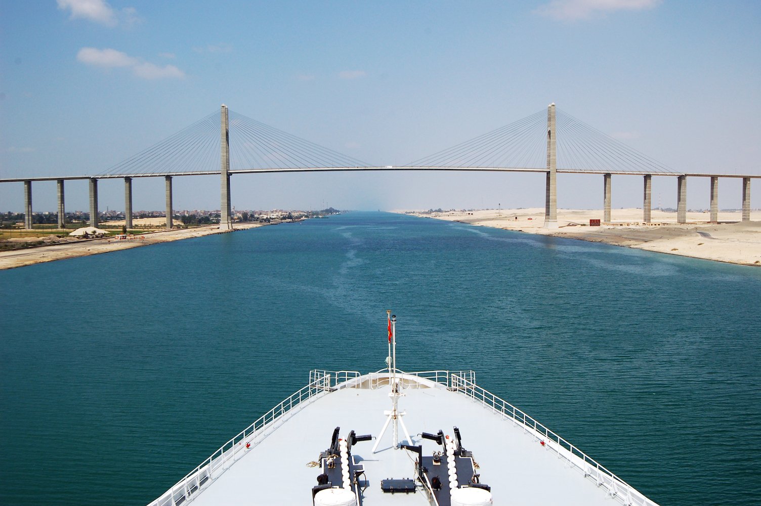 Egypt’s Suez Canal blamed for jellyfish invasion